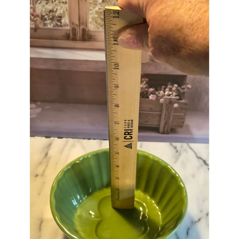 Apple Green Ceramic Fluted Bowl with Embossed‎ Apple Design 7 Inch Small Serving